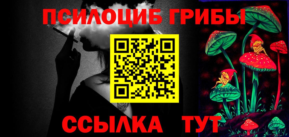 Псилоцибиновые грибы Cubensis Ливны