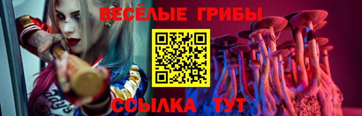 Ливны  Псилоцибиновые грибы Cubensis  Вход с VPN 